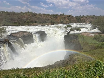 UGANDA - ráj ptáků, dobrých lidí a horských goril