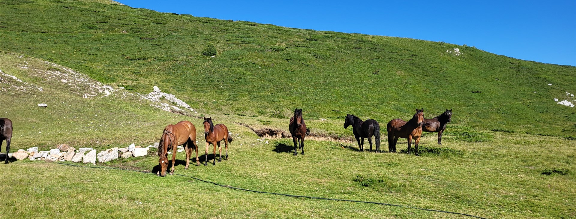To nejlepší z turistiky v Kosovu