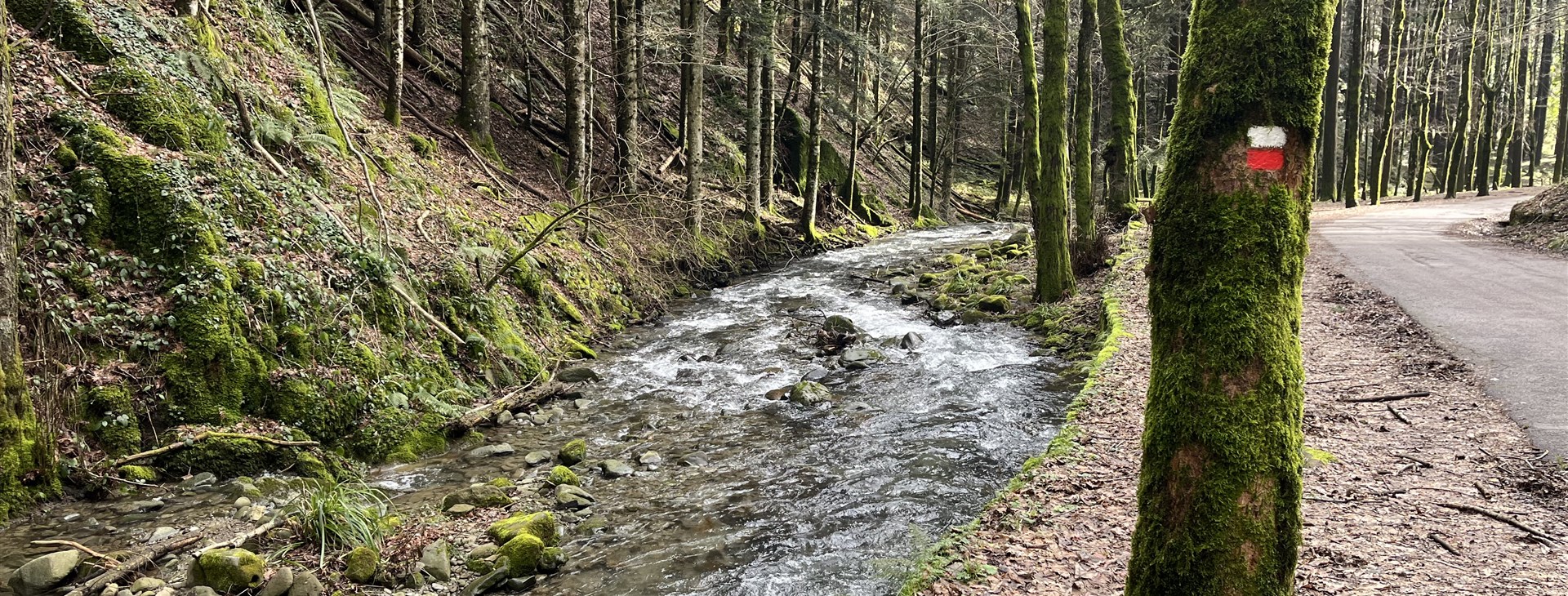 Poutní cesta z Florencie za Svatým Františkem do Assisi