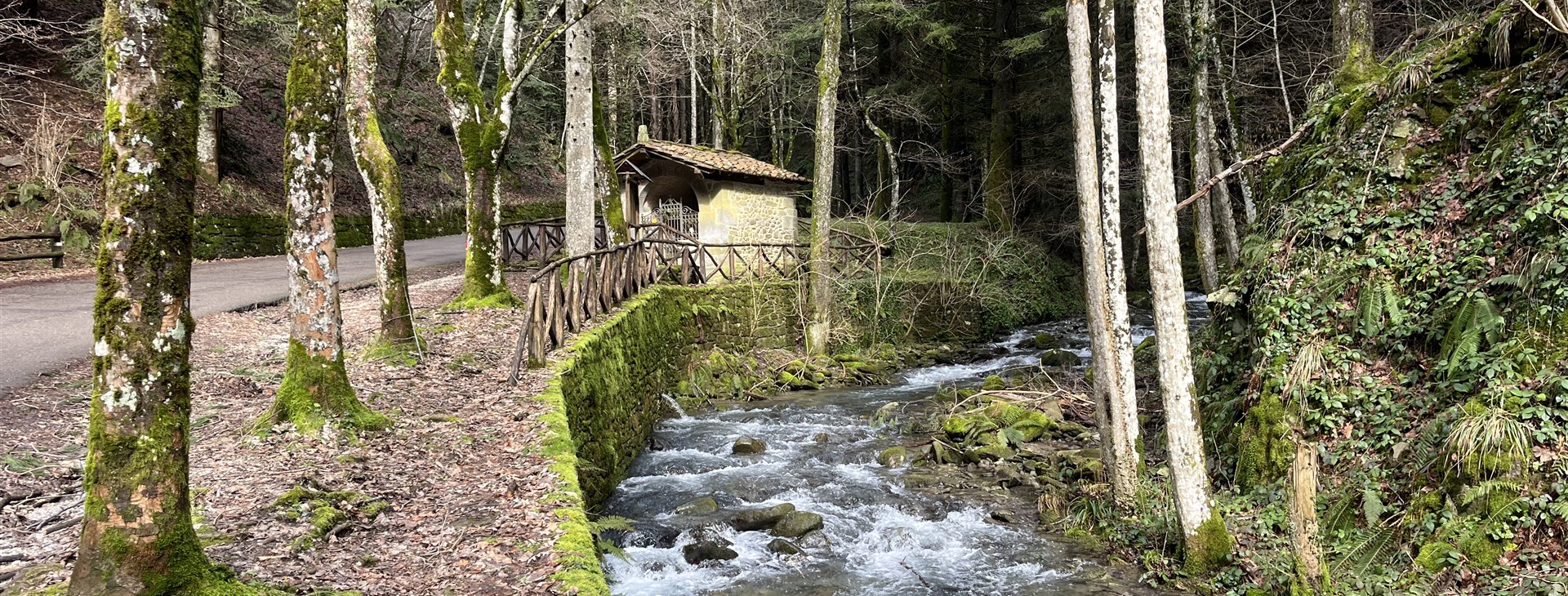 Poutní cesta z Florencie za Svatým Františkem do Assisi