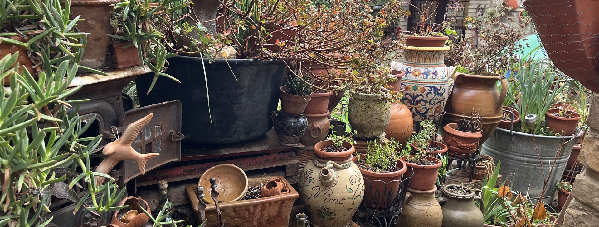 Poutní cesta z Florencie za Svatým Františkem do Assisi