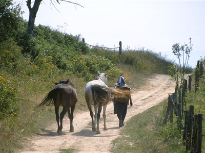 Banát - Cesta proti proudu času