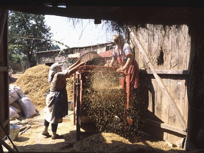 Banát - Cesta proti proudu času