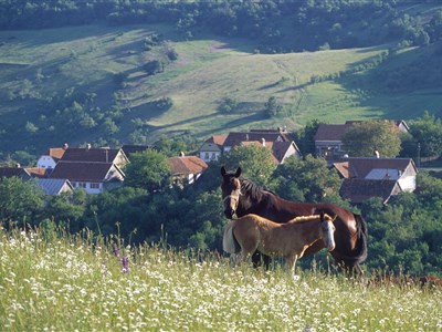 Banát - Cesta proti proudu času