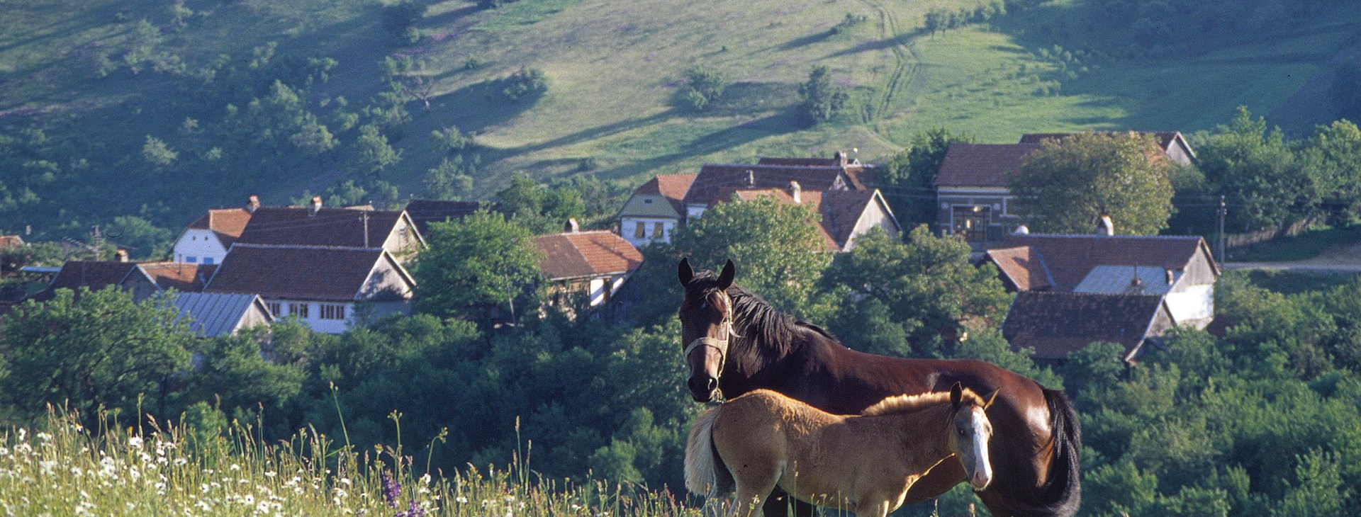 Banát - Cesta proti proudu času