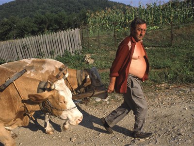 Banát - Cesta proti proudu času