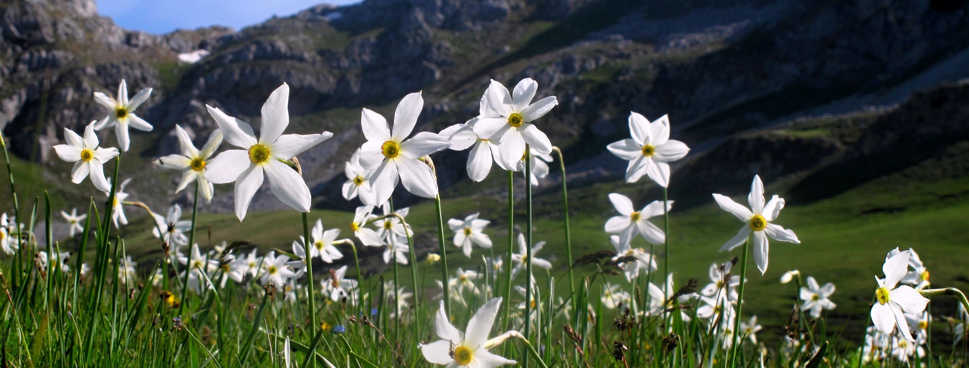 Hory Černé Hory, Foto: Martin "Komár" Hessler a Dominika "Doda" Sommerová