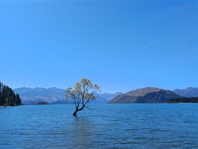 NOVÝ ZÉLAND - země dlouhého bílého oblaku