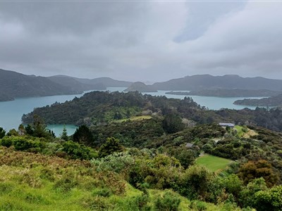 NOVÝ ZÉLAND - země dlouhého bílého oblaku