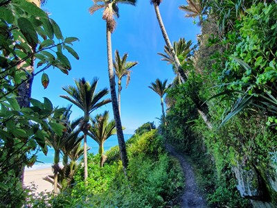 NOVÝ ZÉLAND - země dlouhého bílého oblaku