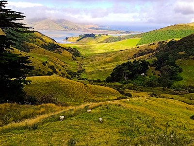 NOVÝ ZÉLAND - země dlouhého bílého oblaku