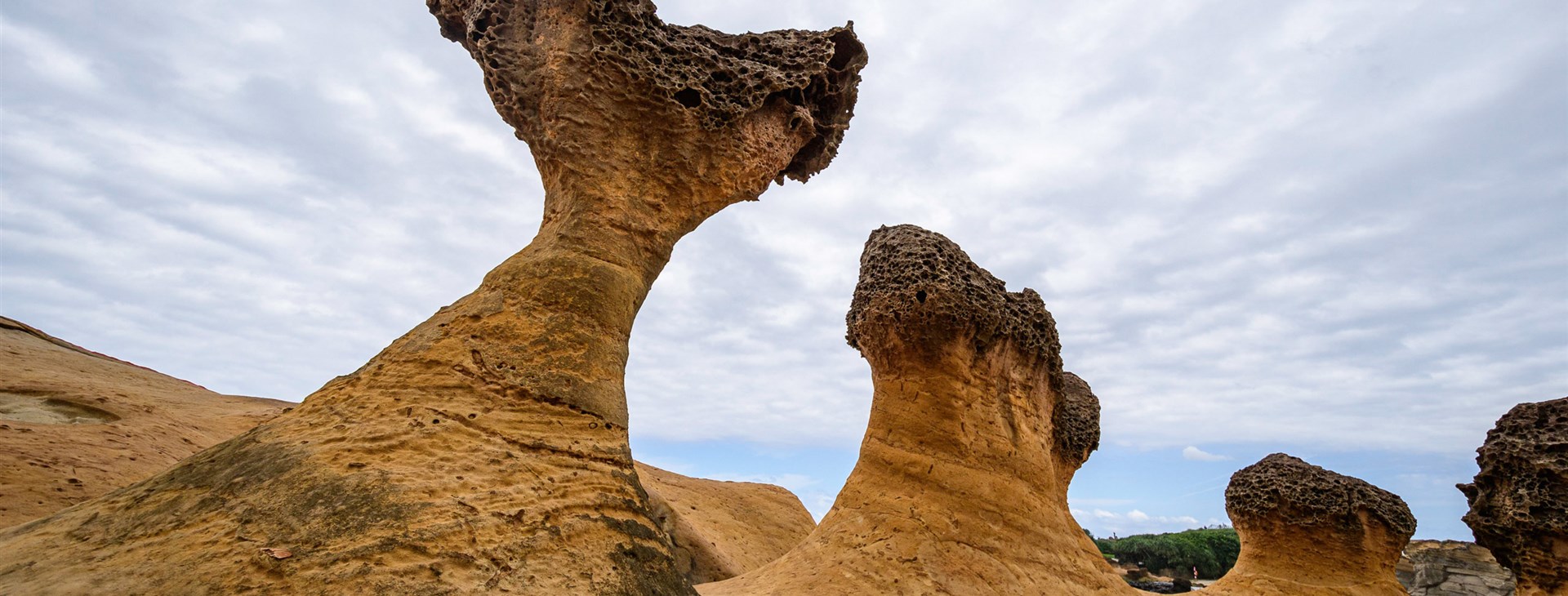 Taiwanem na (elektro)kole