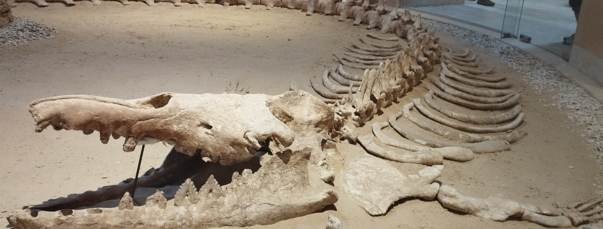 Egypt - pouštní safari