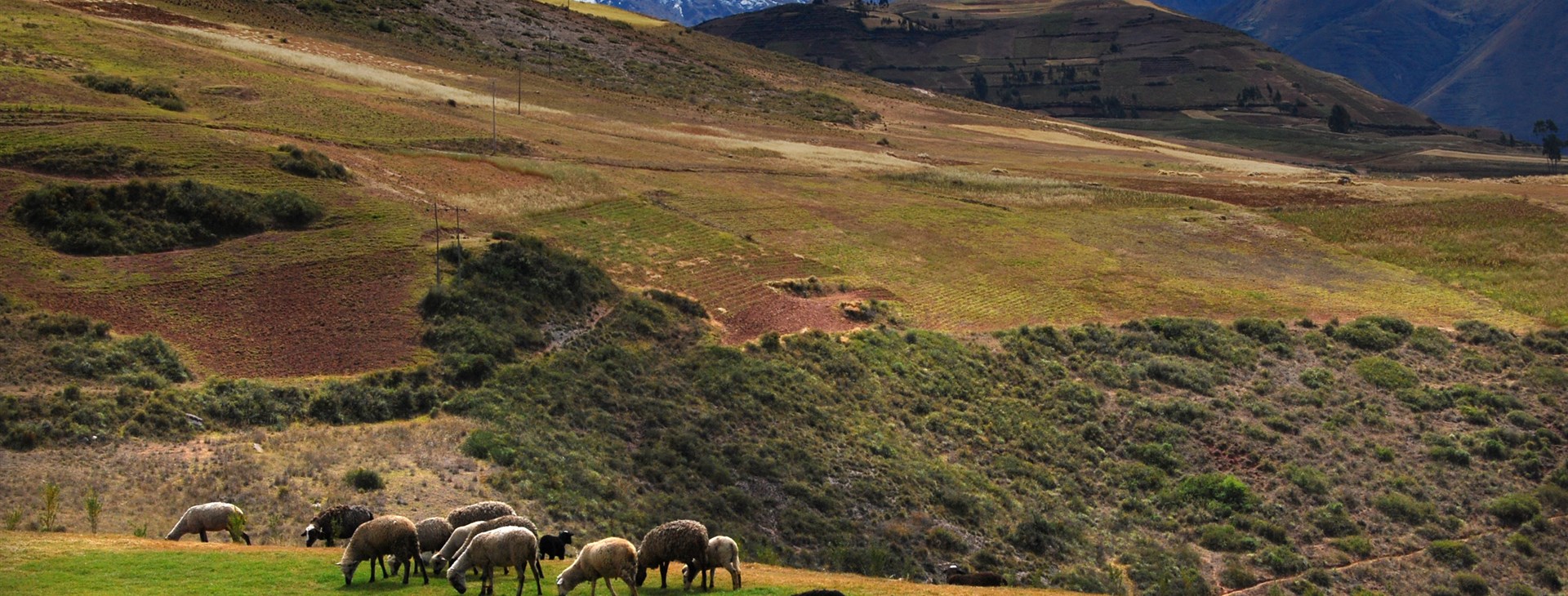 Peru - výprava do ztracených měst Inků – Choquequirao a Machu Picchu