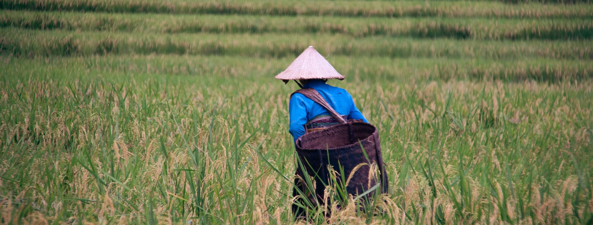 Vietnam - zážitkově