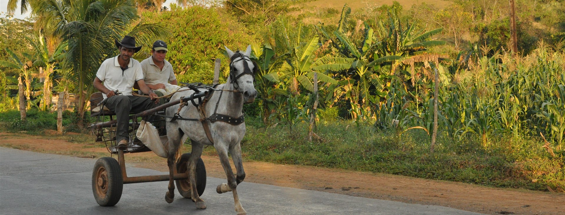 Kuba + Pico Turquino