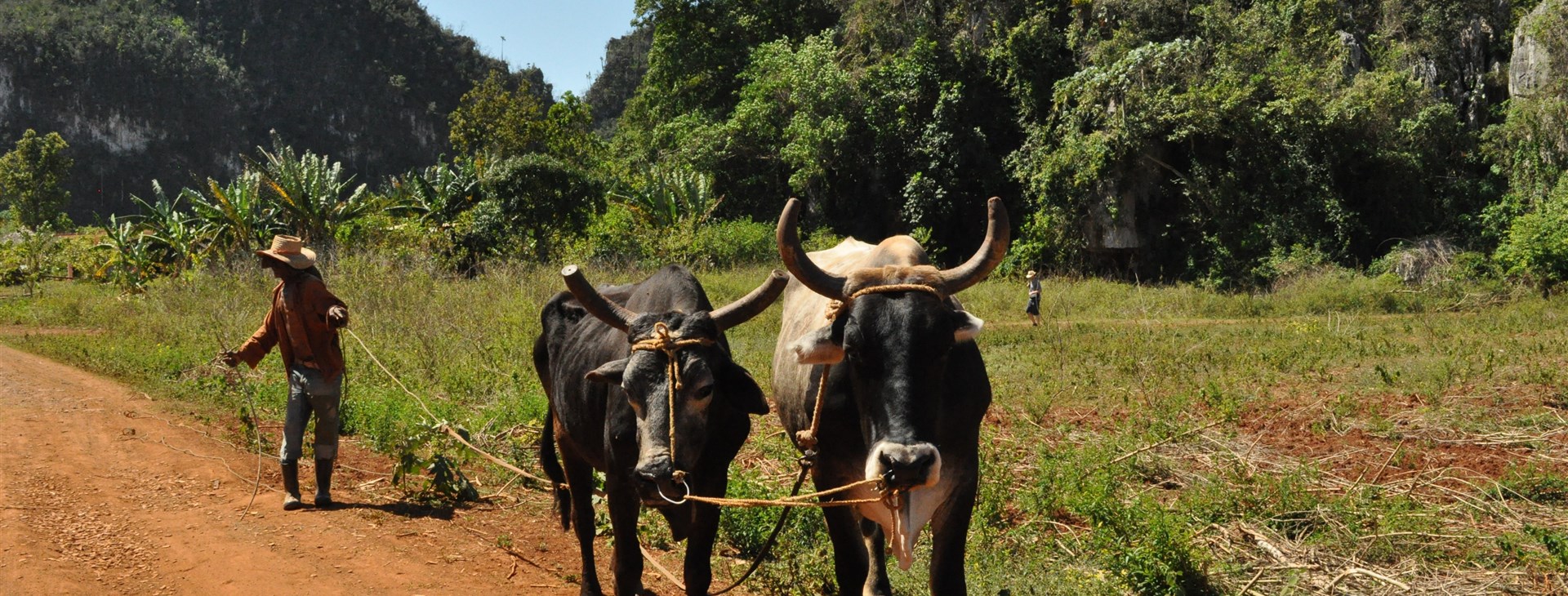 Kuba + Pico Turquino