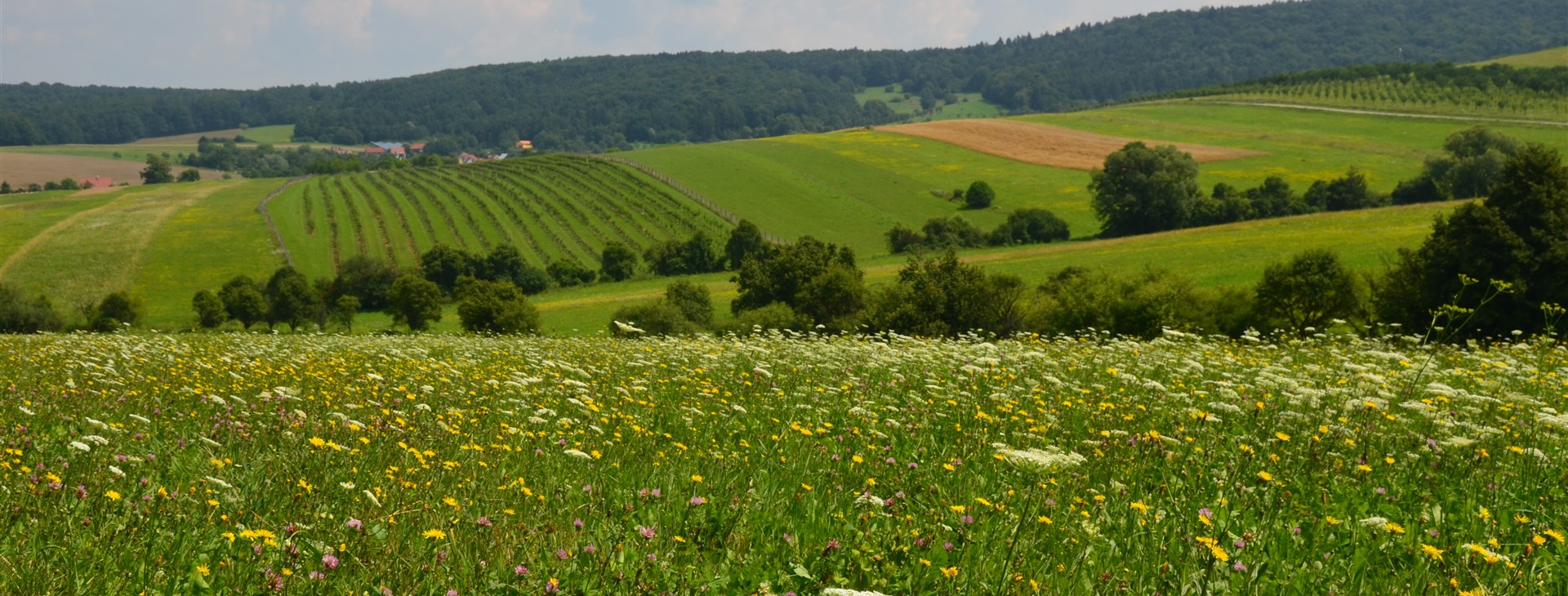 Letní zelená dovolená s příběhem v Bílých Karpatech