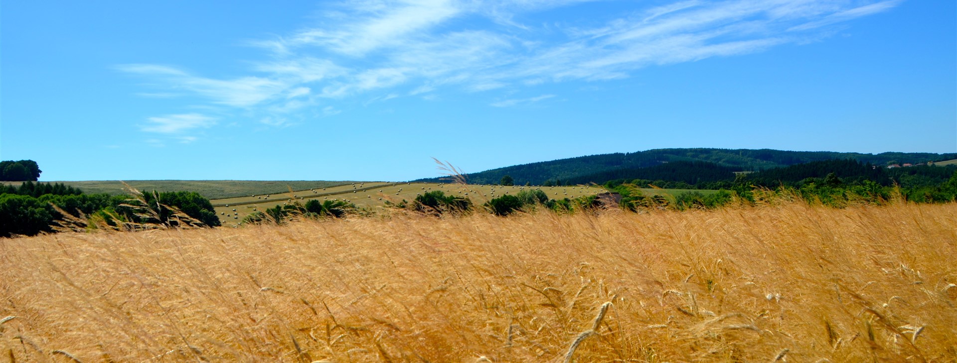 Letní zelená dovolená s příběhem v Bílých Karpatech