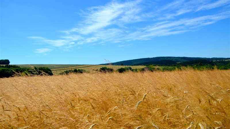 Letní zelená dovolená s příběhem v Bílých Karpatech
