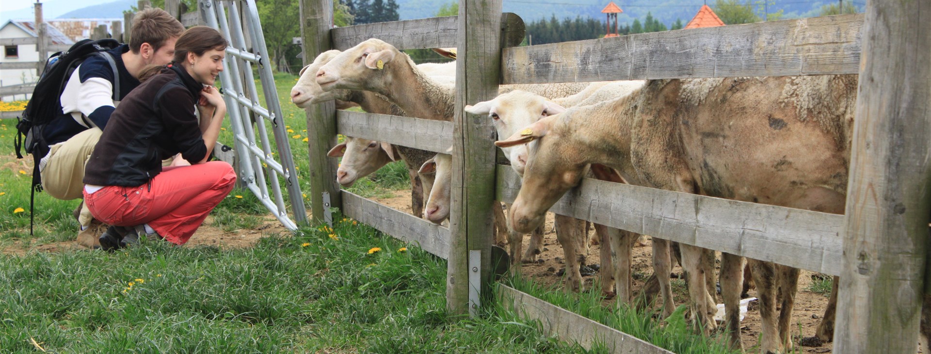 Letní zelená dovolená s příběhem v Bílých Karpatech