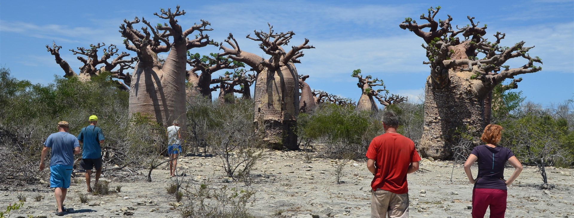 Autor: Dalibor Mahel