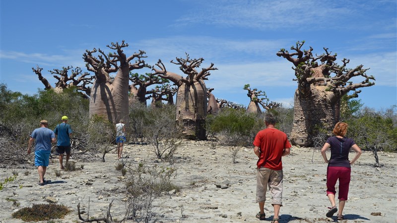 Madagaskar expedičně