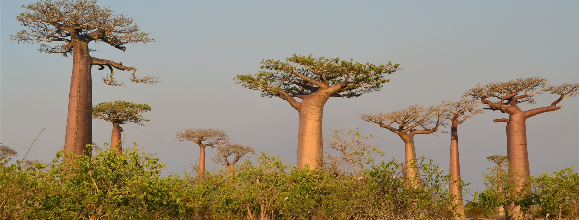 Autor: Dalibor Mahel