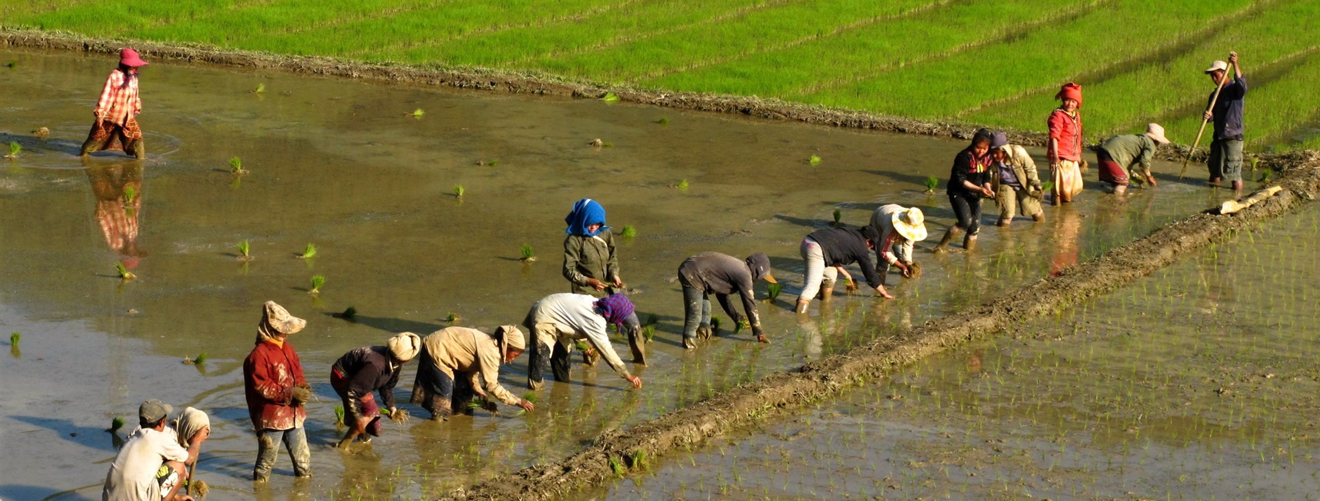 Vánoce a silvestr v severním Thajsku a Kambodža