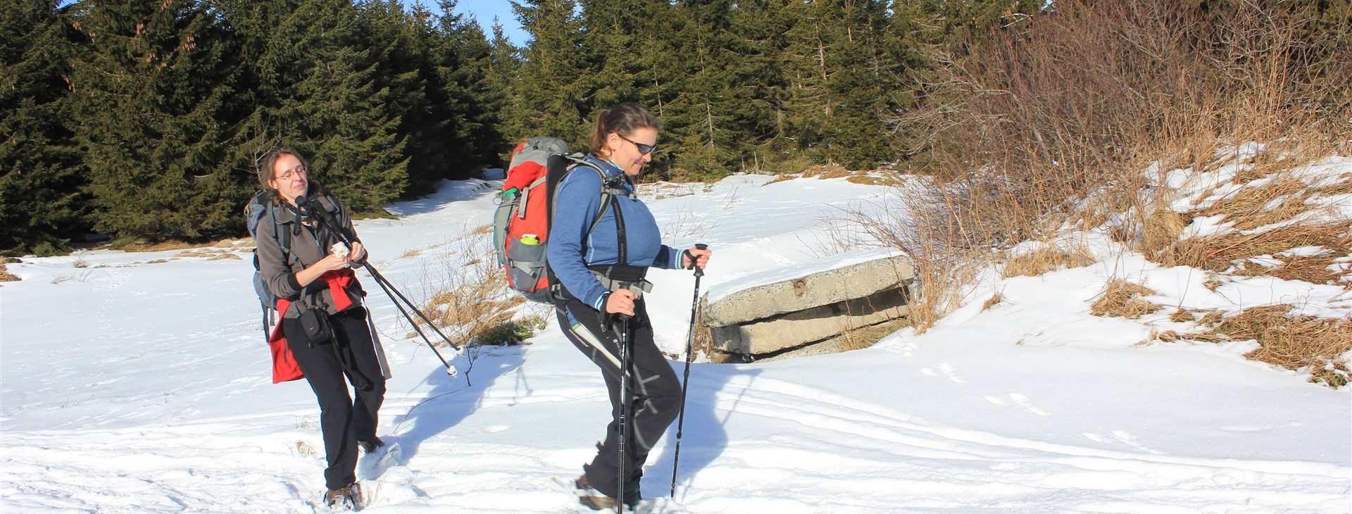 Šumava na sněžnicích