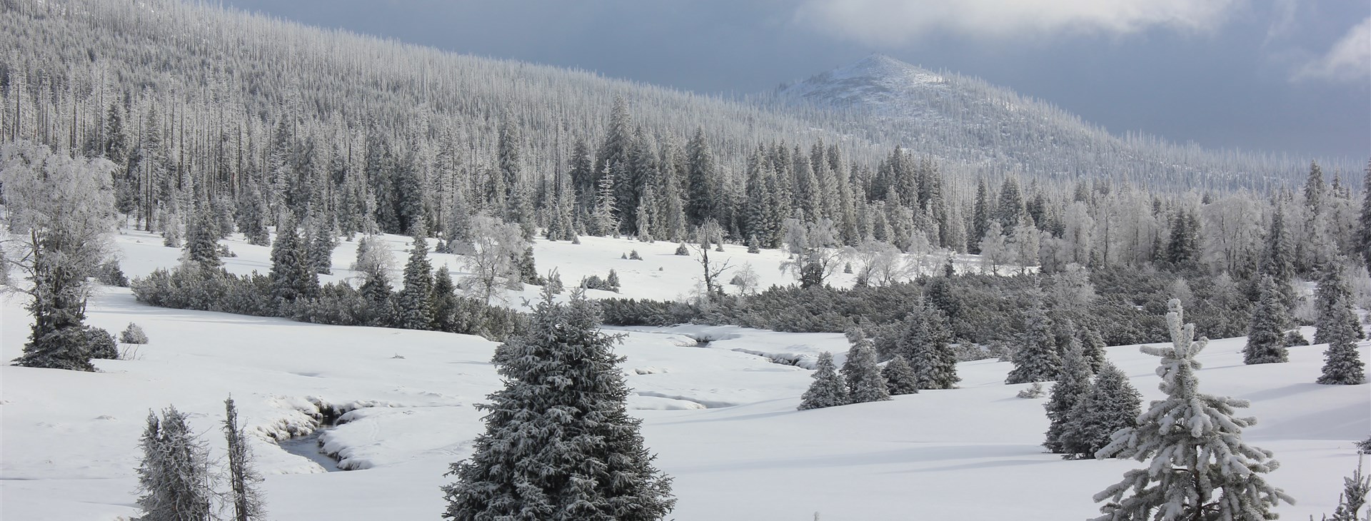 Šumava na sněžnicích