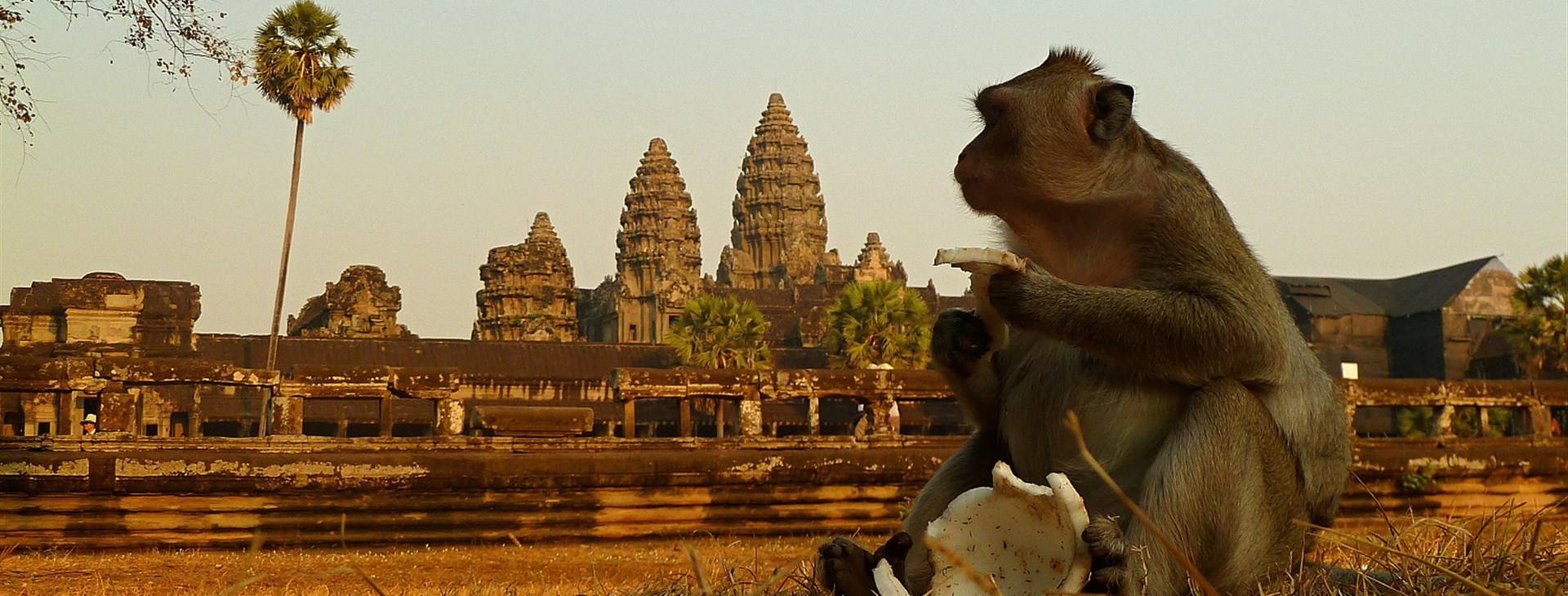 Angkor Wat - autor: Martin Hessler a Dominika Sommerová