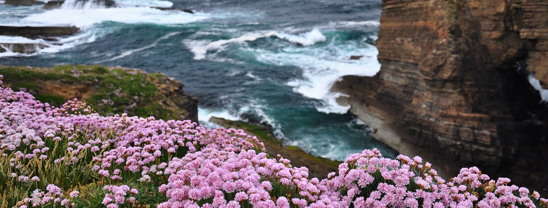 Skotsko - Shetlandy a Orkneje