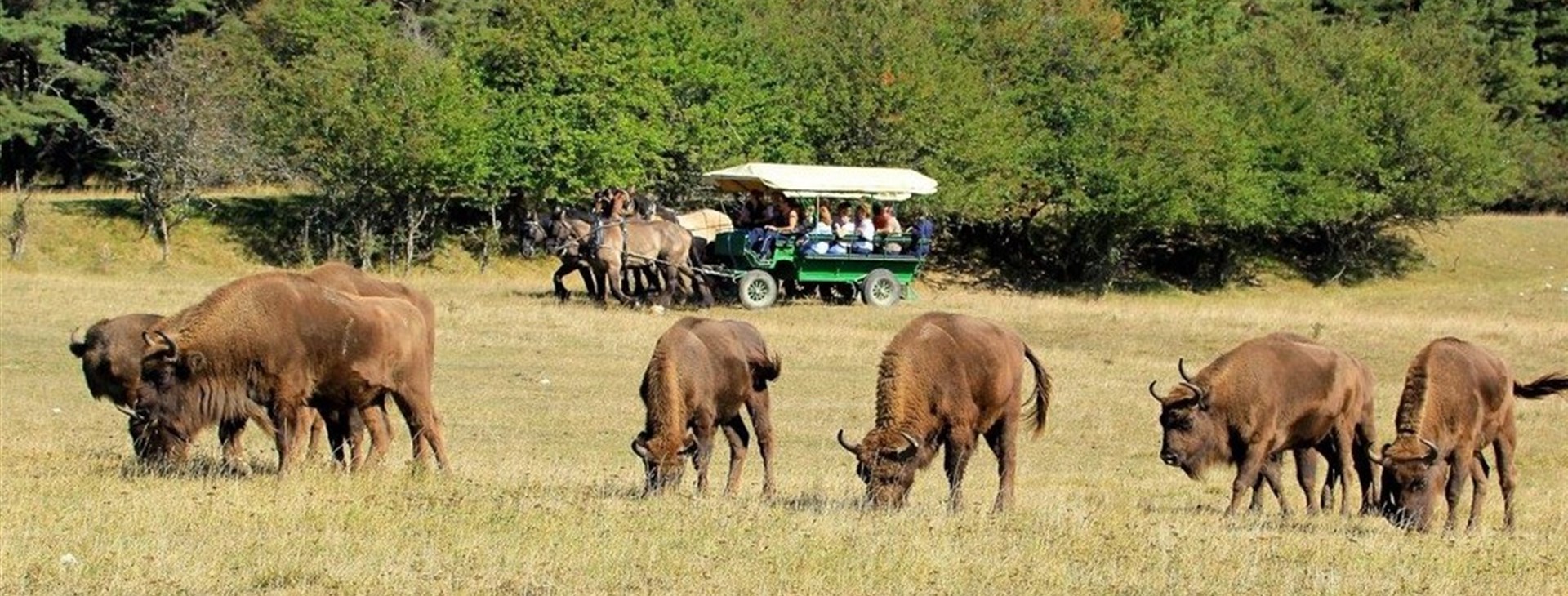 Cesta do francouzské říše zvířat