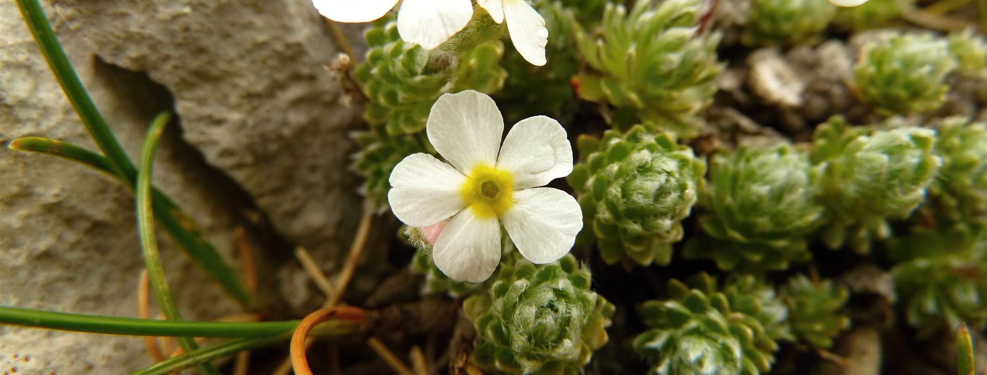 Hory Bosny a Hercegoviny