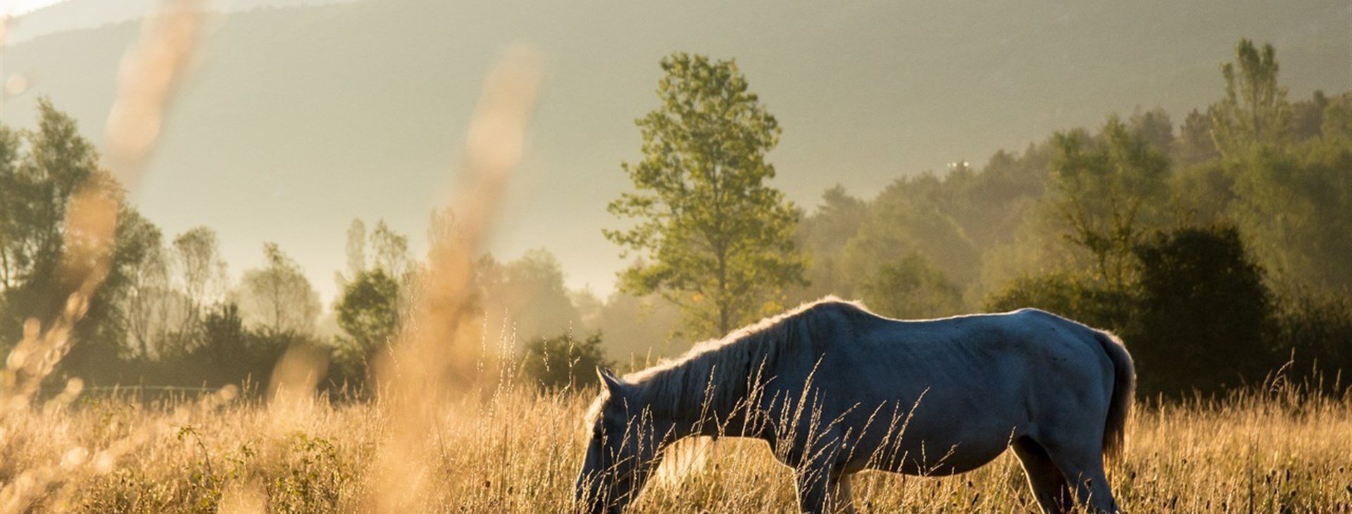 Kaňony jižní Francie