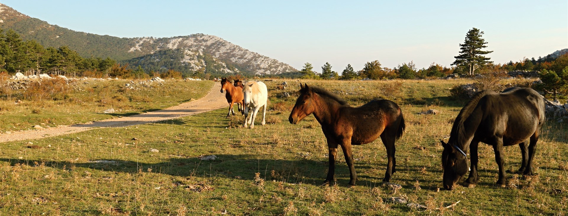 Prodloužené léto v Chorvatsku