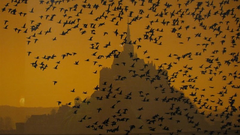 Kolmo kolem Bretaně