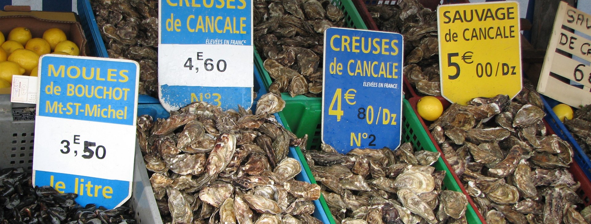 Autor: Zdeněk "Hobbo" Tocháček