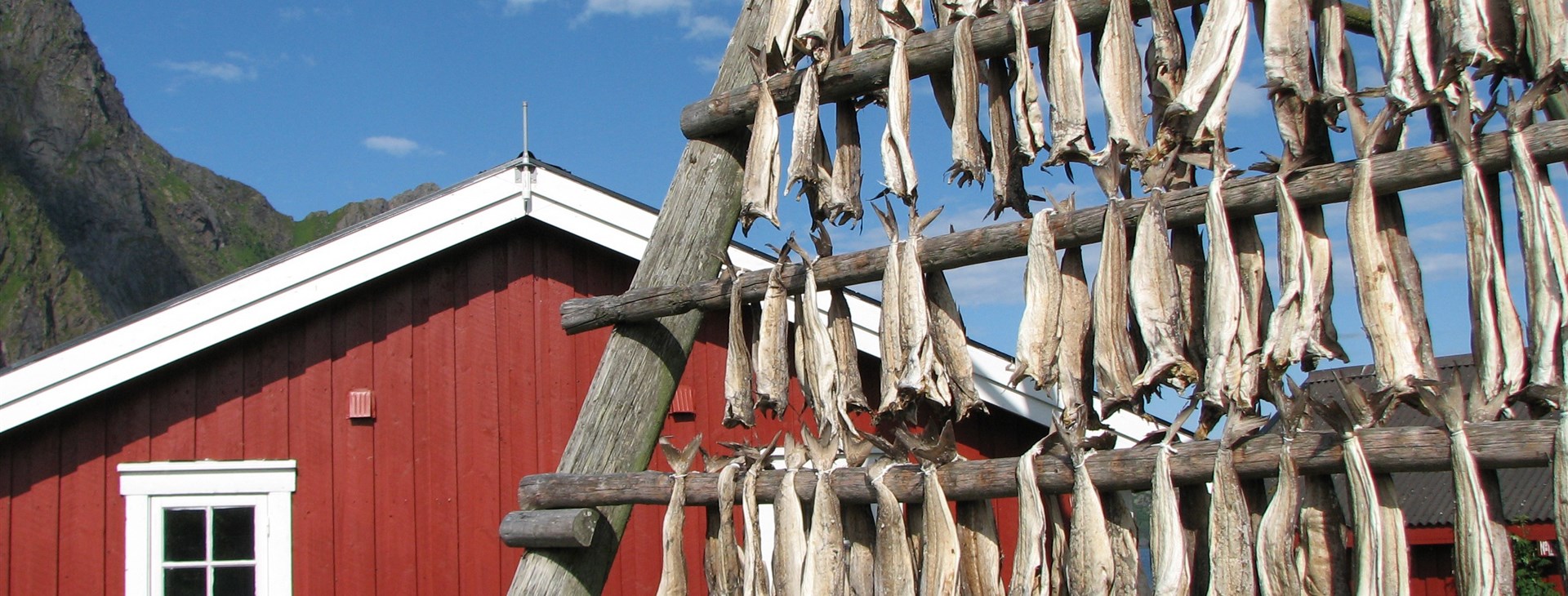 Foto: Zdeněk "Hobbo" Tocháček