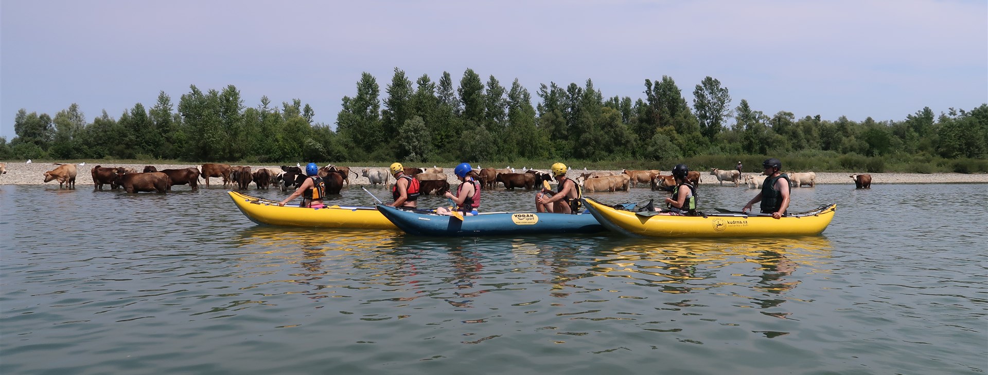 Tisa - foto: Marin Mitáš