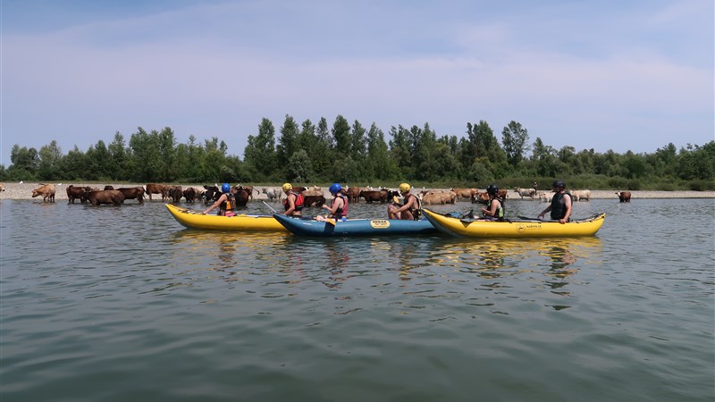 Podkarpatské člunkování