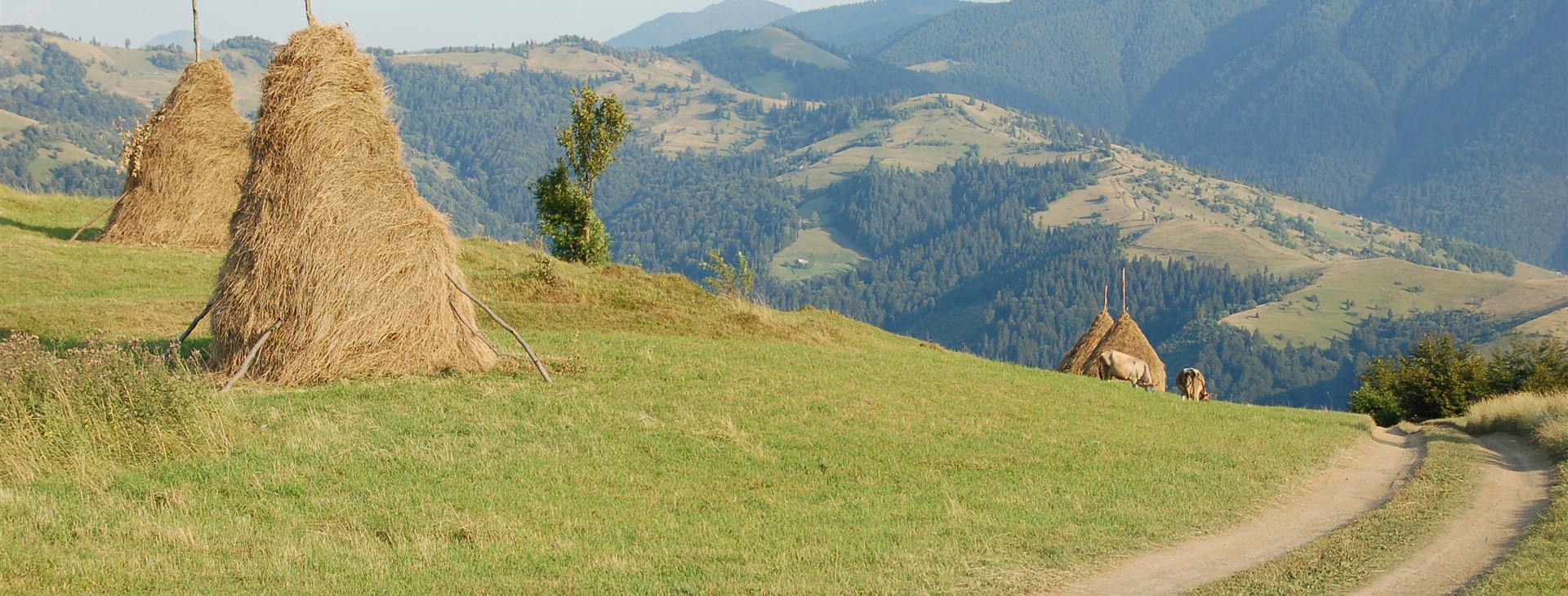 Podkarpatské toulání