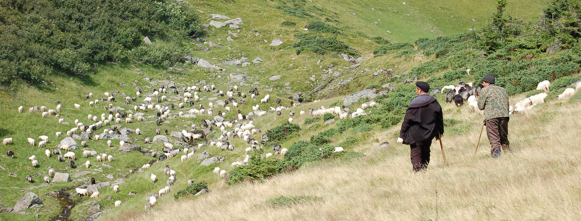 Podkarpatské toulání