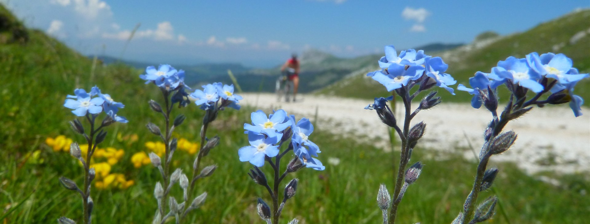 Bosna a Hercegovina na kole