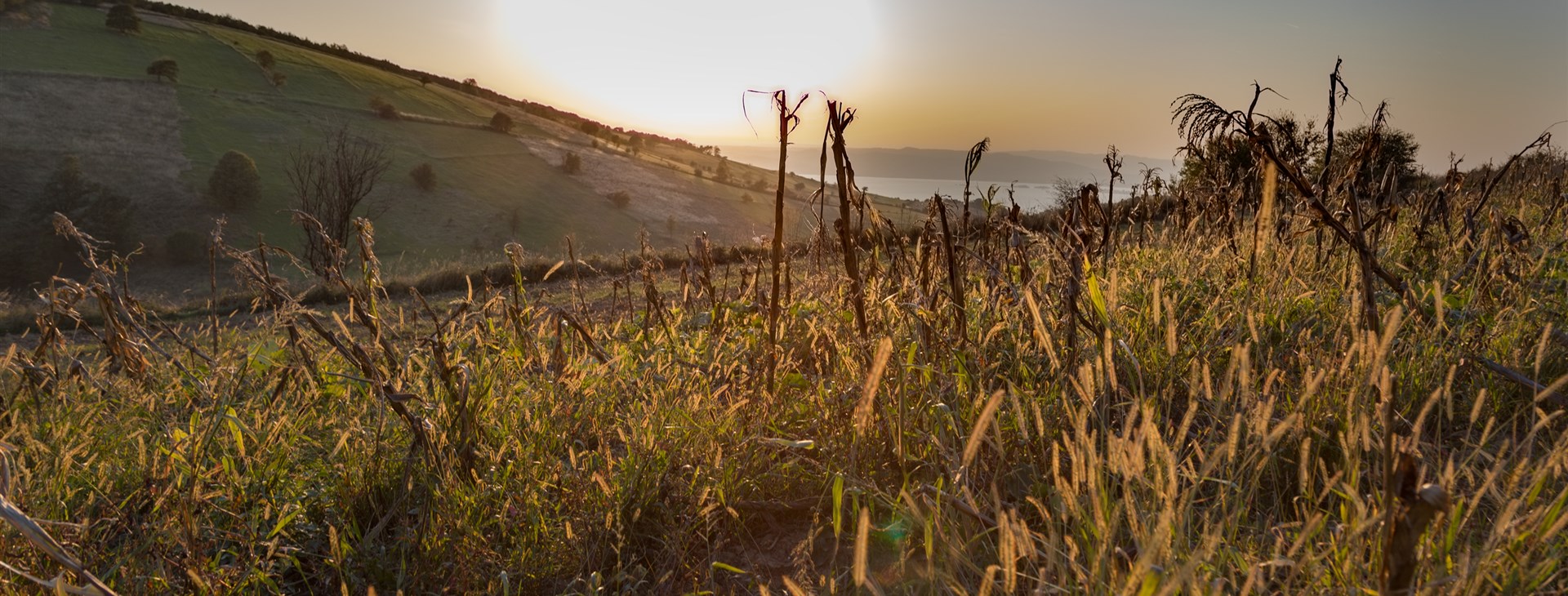 Velikonoce v Banátu