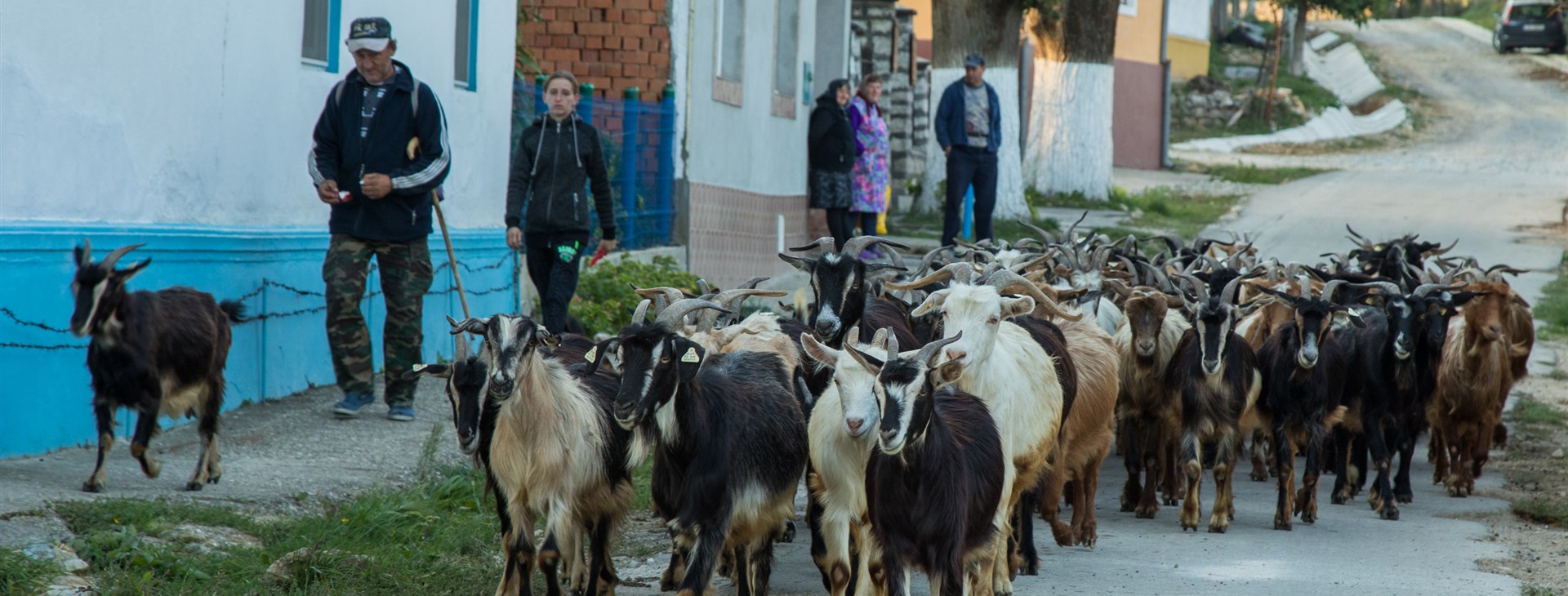 Velikonoce v Banátu