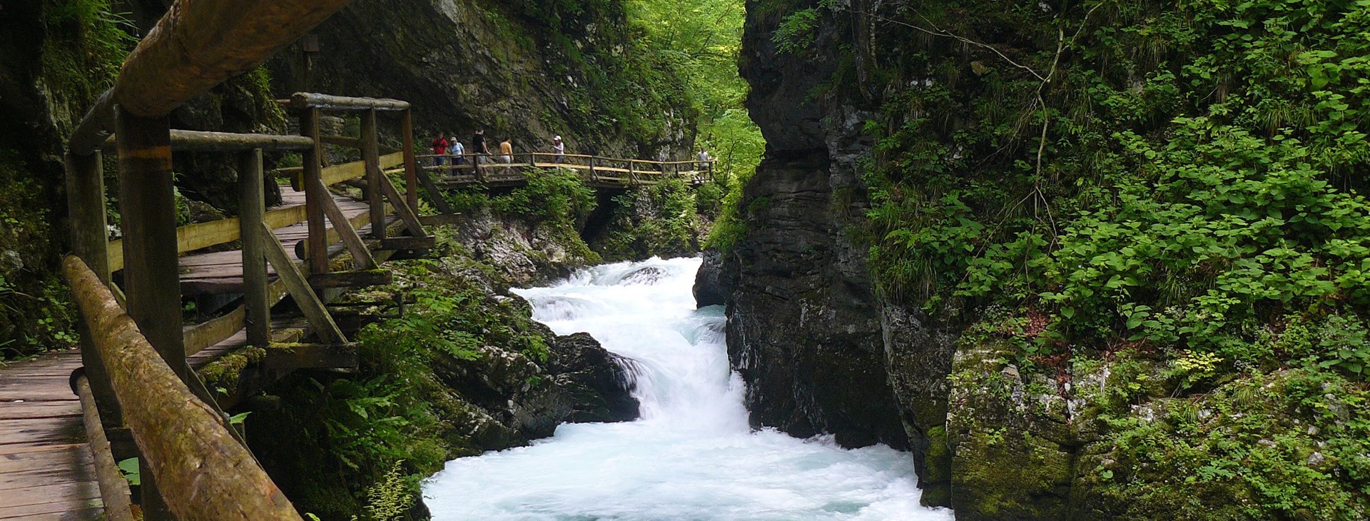 autor: David Baštář