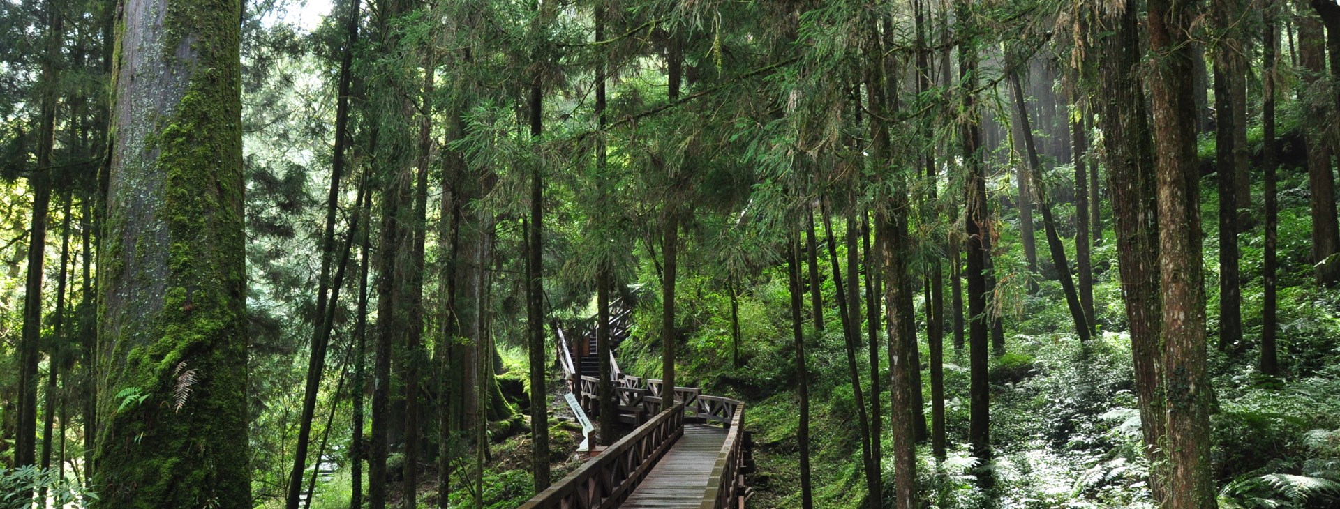 To nejlepší z Taiwanu