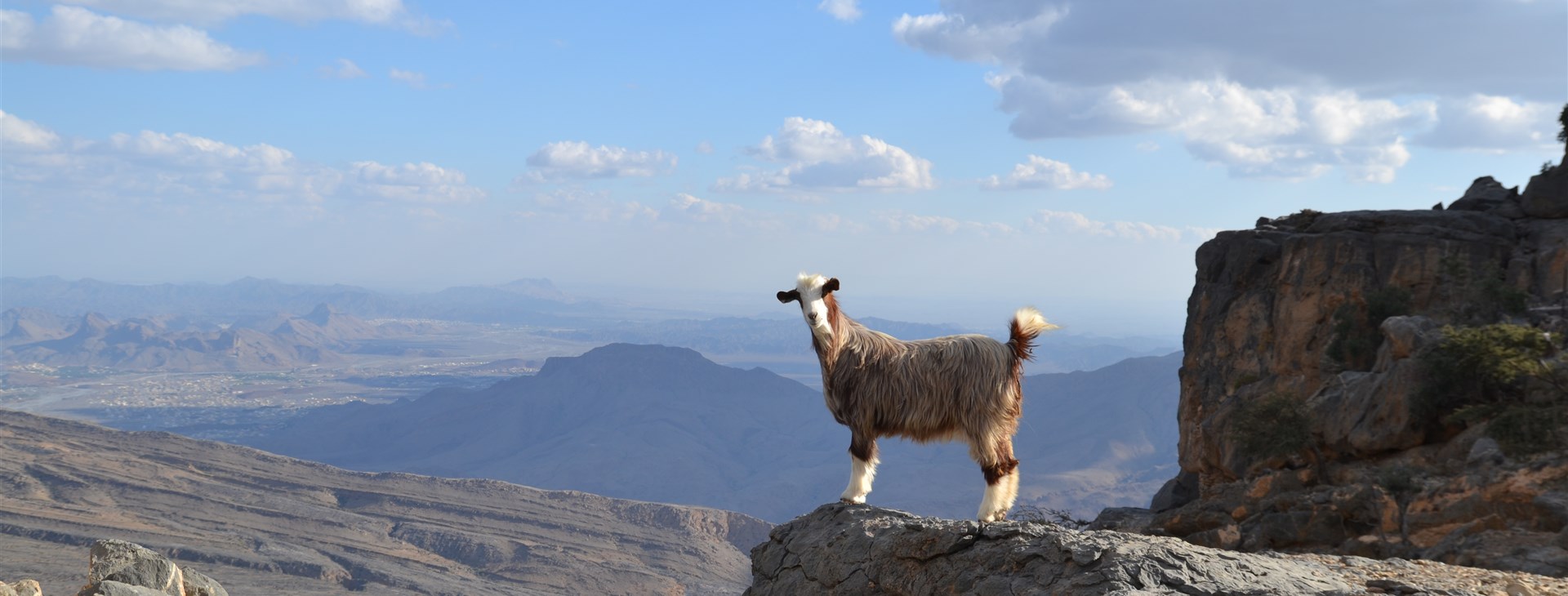 Omán, Musandam a Spojené arabské emiráty